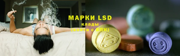 ПСИЛОЦИБИНОВЫЕ ГРИБЫ Алексин