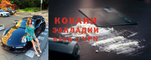 прущие грибы Карпинск