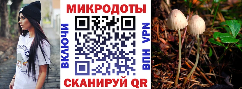 Псилоцибиновые грибы MAGIC MUSHROOMS  сколько стоит  Новотитаровская 